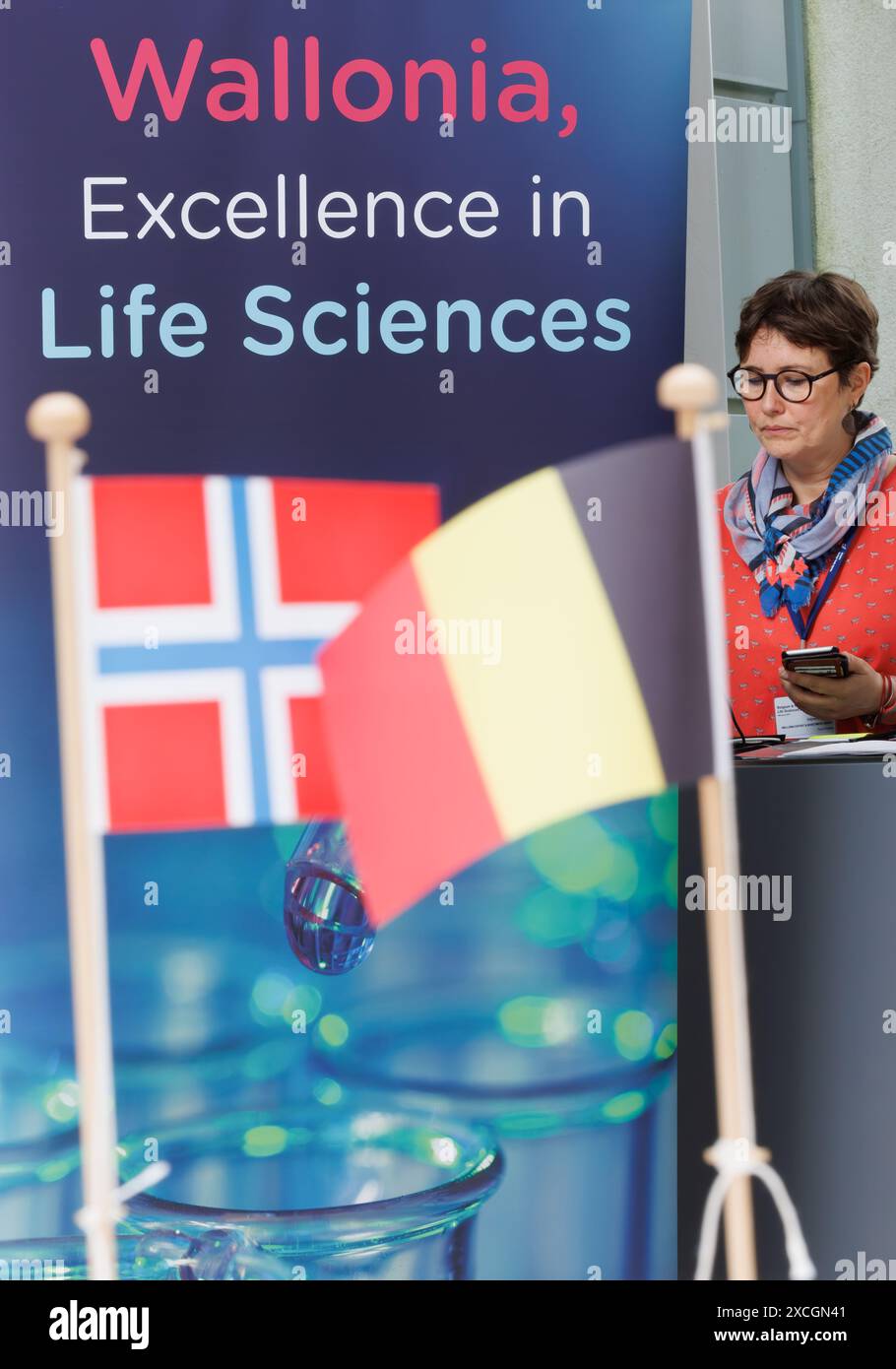 Oslo, Norwegen. Juni 2024. Norwegische und belgische Flagge im Oslo Science Park, Teil einer Wirtschaftsmission nach Norwegen, Montag, 17. Juni 2024. Die belgische Prinzessin leitet eine belgische Delegation, die in den nächsten vier Tagen über Energiewende, Kreislaufwirtschaft, Biowissenschaften und Design diskutieren soll. BELGA FOTO BENOIT DOPPAGNE Credit: Belga News Agency/Alamy Live News Stockfoto