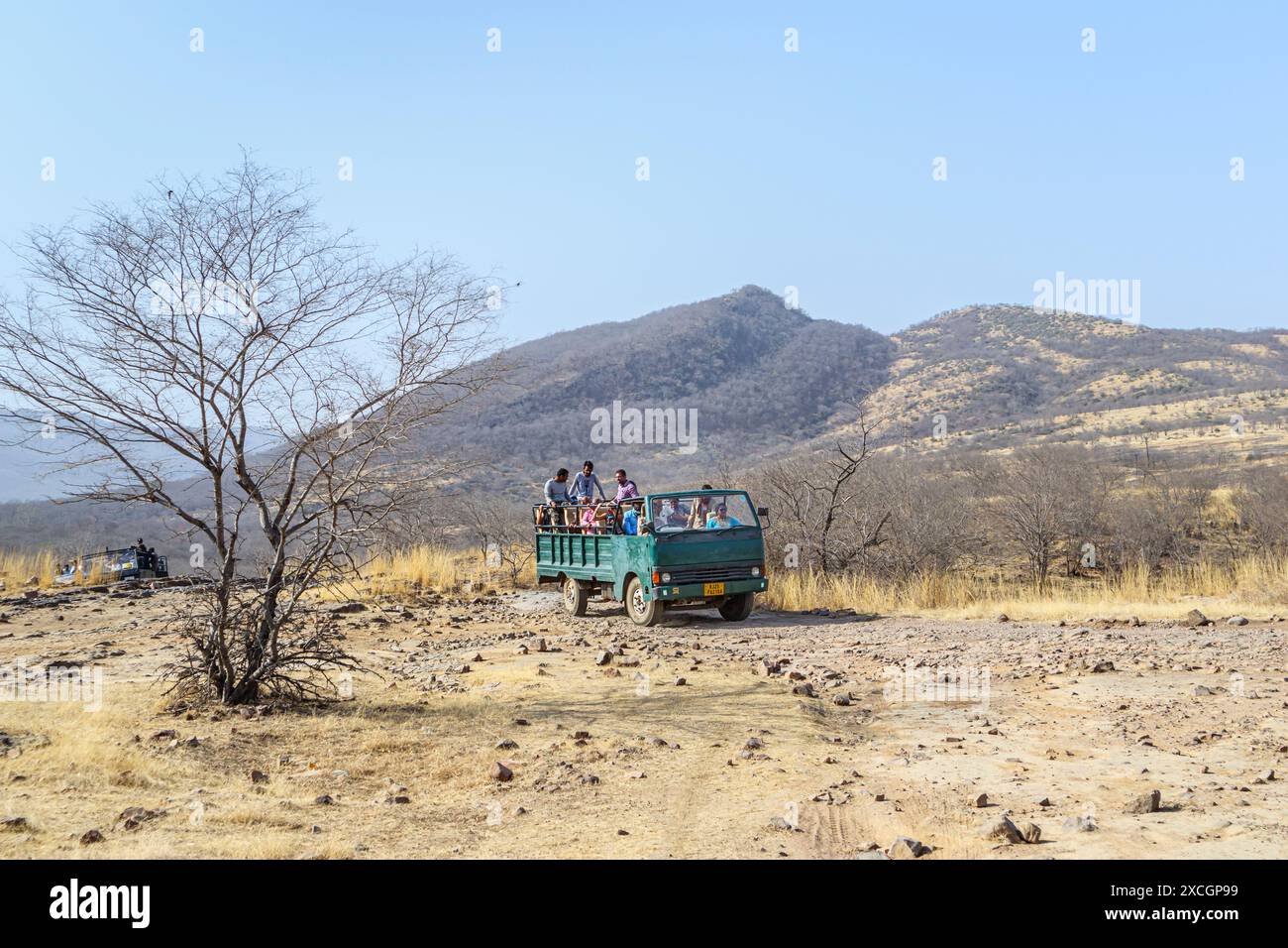 Ein überfülltes 20-Sitzer-Galopp-Safari-Fahrzeug voller Wildbeobachter im Ranthambore-Nationalpark, Rajasthan, Nordindien Stockfoto