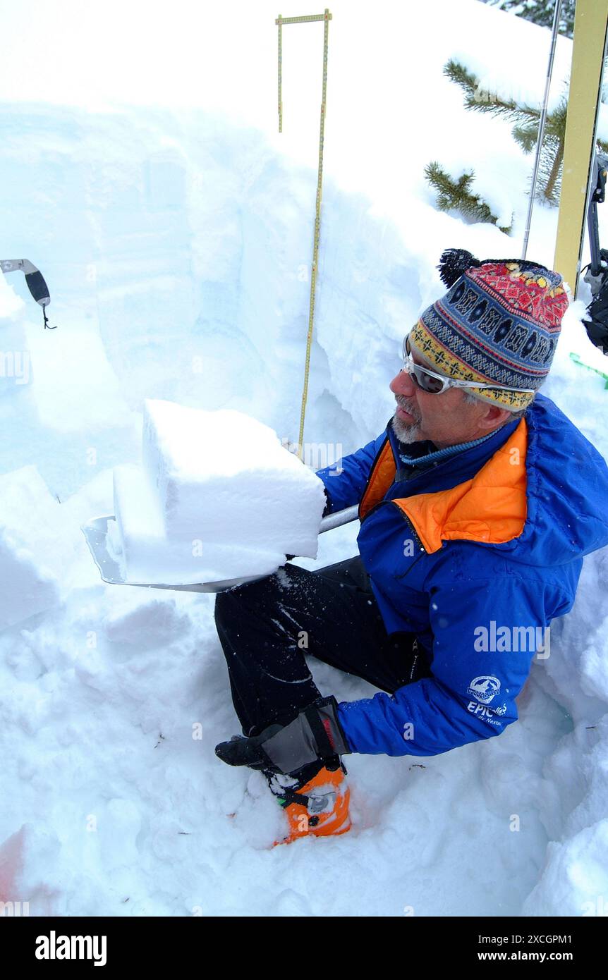 Ein Lawinenexperte schneidet Schneeschichten aus, um die aktuelle Lawinengefahr in Aspen, Colorado, zu ermitteln Stockfoto