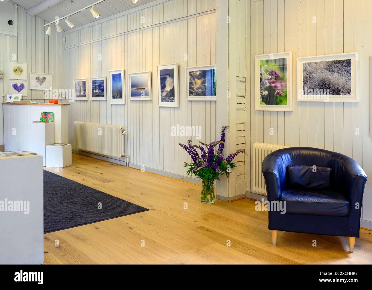 Fotokunstausstellung in einer Galerie Stockfoto