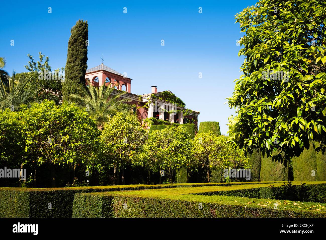 Der Albarda-Garten (El Jardín de l’Albarda) Pedreguer La Sella Urbanisation, C/ Valencia Spanien Stockfoto