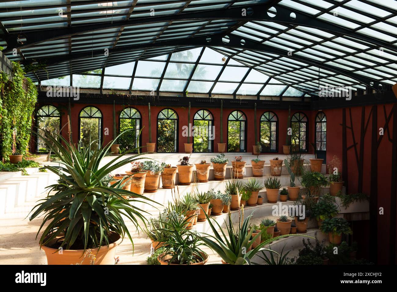 sukkulenten im Theater Amphithear der Albarda-Garten (El Jardín de l’Albarda) Pedreguer La Sella Urbanisation, C/ Valencia Spanien Stockfoto