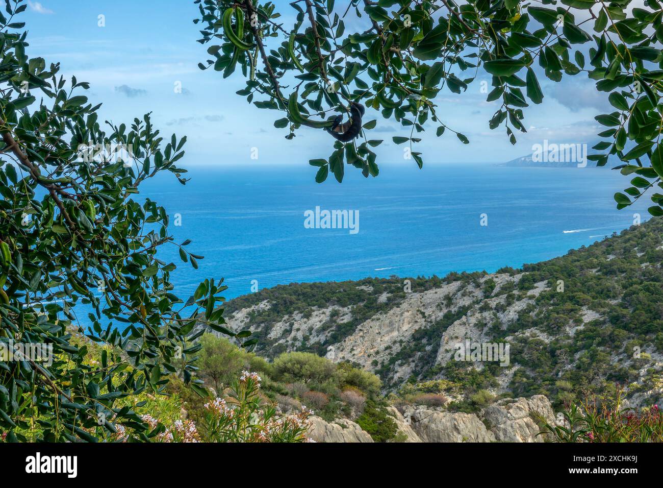 Blick auf das Mittelmeer im Golf von Orosei, eingerahmt von Olivenbaumzweigen aus dem Supramonte-Gebirge, Sardina, Italien Stockfoto