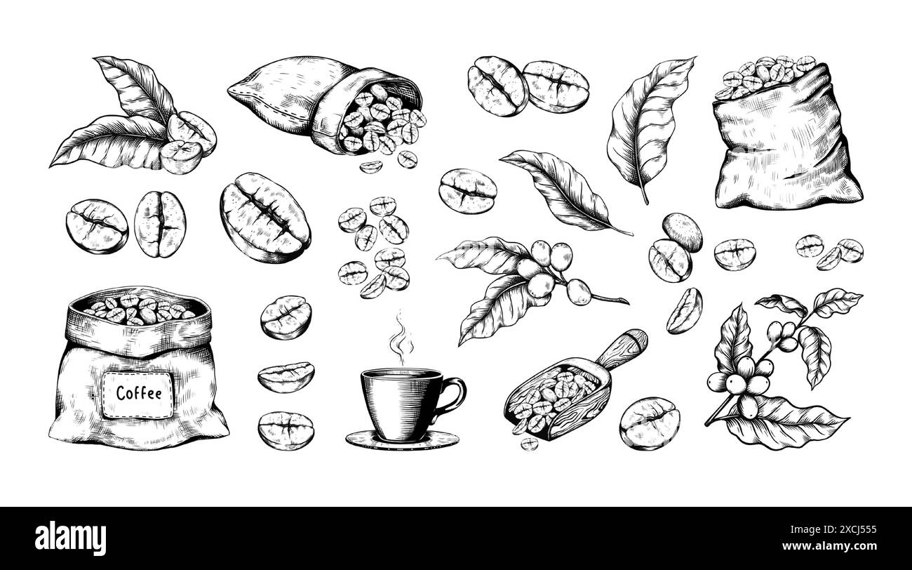 Kaffeeskizze. Handgezogene Arabica-Bohnen. Beutel für geröstete Samen. Schwarz-weiß Retro-Drinks Kunst. Espresso-Tasse. Rustikaler Holzlöffel. Baumblätter mit Beeren. Gravurbecher Vector Vintage-Elemente-Set Stock Vektor