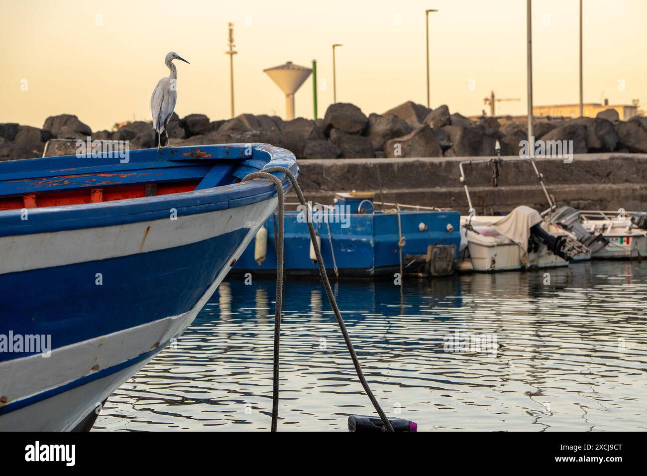 Ein Reiher steht anmutig auf einem Fischerboot bei Sonnenuntergang in einem ruhigen Hafen. Vogelbeobachtung an der Küste - ruhige maritime Szene, friedlicher Yachthafen mit Booten Stockfoto