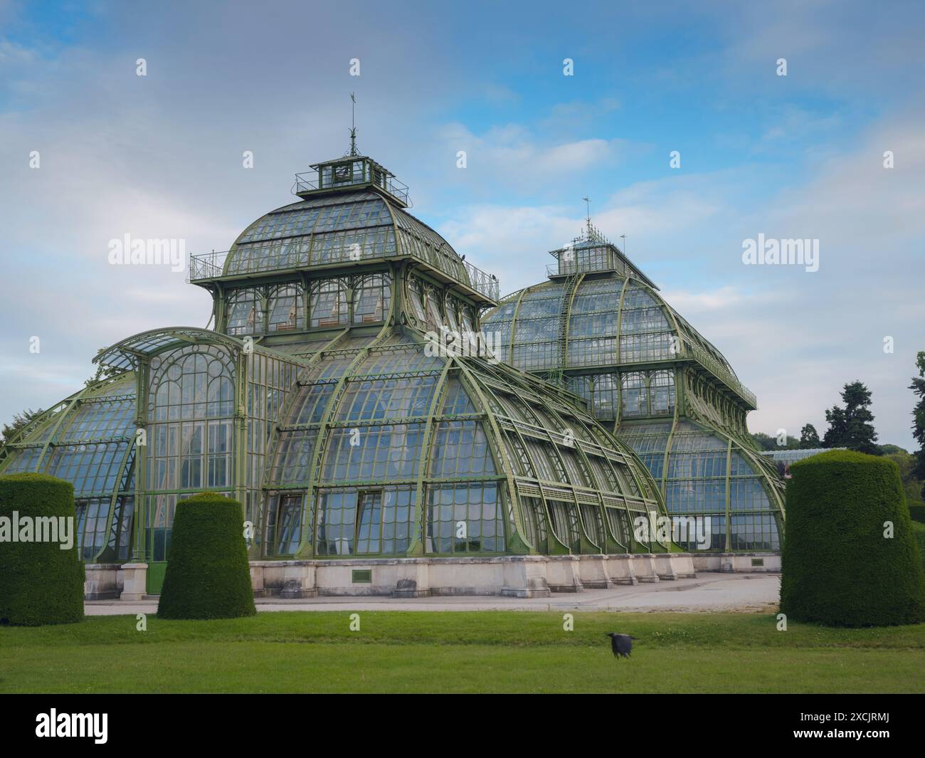 Reisen Sie nach Wien, Österreich. Der Blick auf den Park mit Gebäuden, Bäumen und bunten Blumen am Abend Sonnenuntergang. Stockfoto