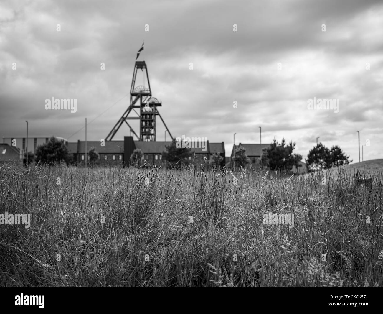 HEARTLANDS POOL CAMBORNE WELTKULTURERBE BERGBAU MOTORENHAUS Stockfoto