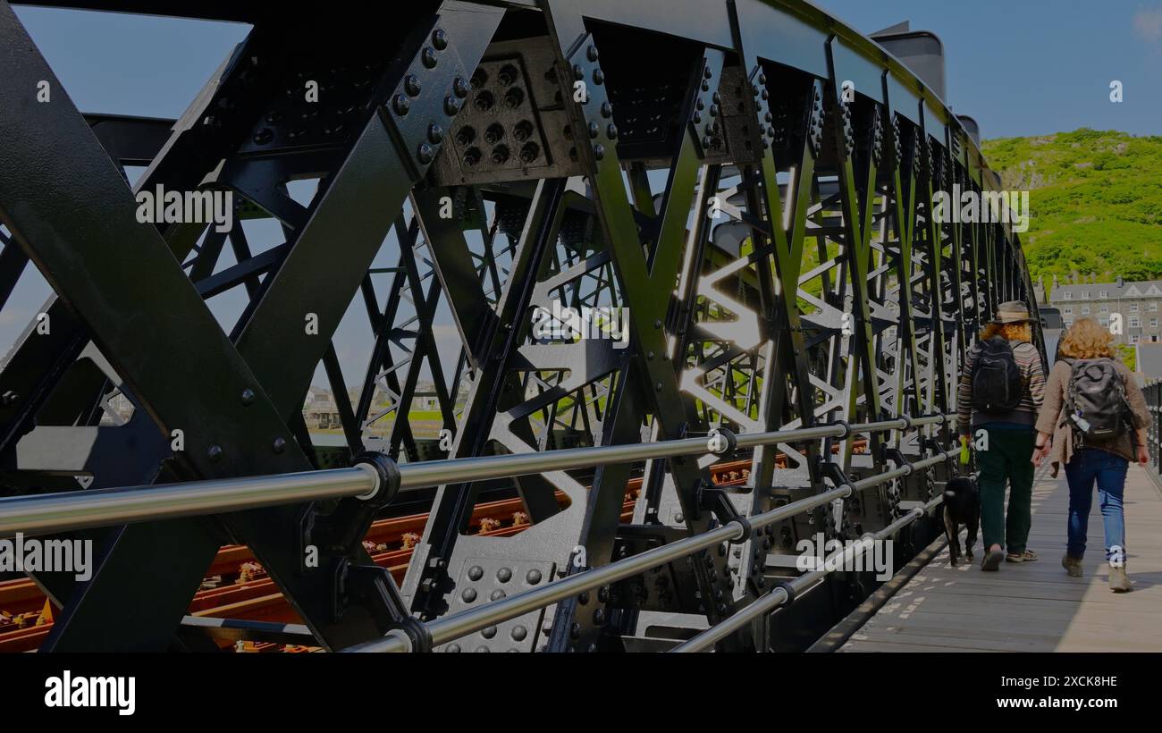 Zwei Personen und ein Hund auf dem Barmouth Viadukt, das vor kurzem über 4 Jahre restauriert wurde und die Metallstruktur der berühmten Eisenbahnbrücke zeigt. Stockfoto