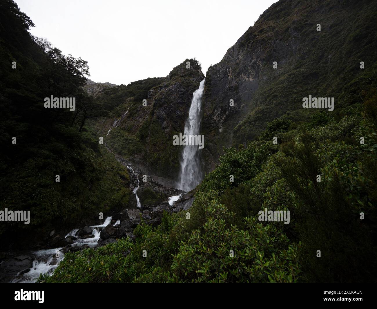 Devil's Punchbowl Falls tosender Wasserfall in üppig grünen Buchenwäldern auf Arthur's Pass Canterbury Southern Alps South Island Neuseeland Stockfoto