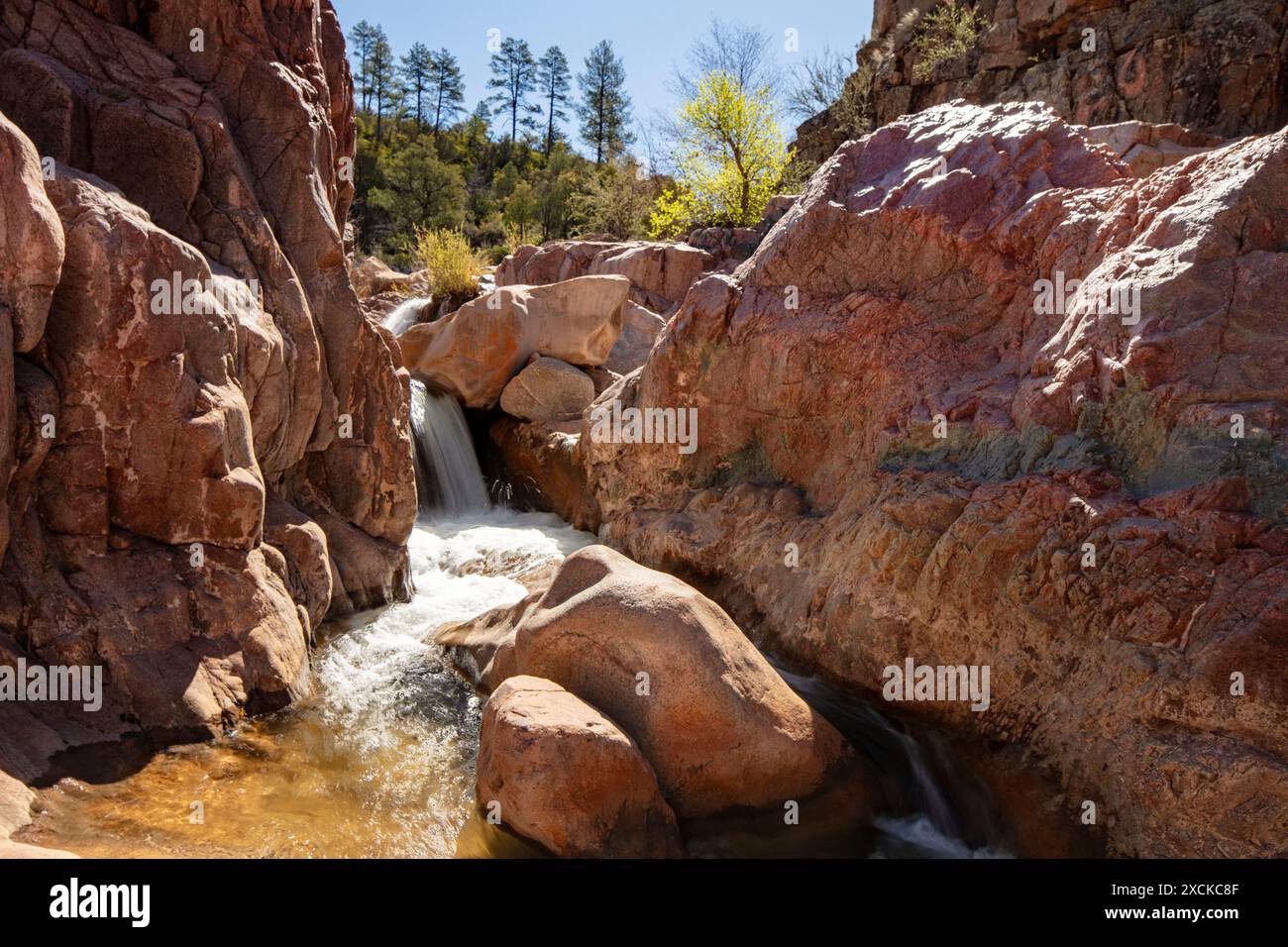 Wundervolle Wasserfälle entlang des herrlichen Water Wheel Falls Wander Trail in der Nähe von Peyson, Arizona (USA). Verführerisch, Erstaunlich, Atemberaubend, Fesselnd, Stockfoto