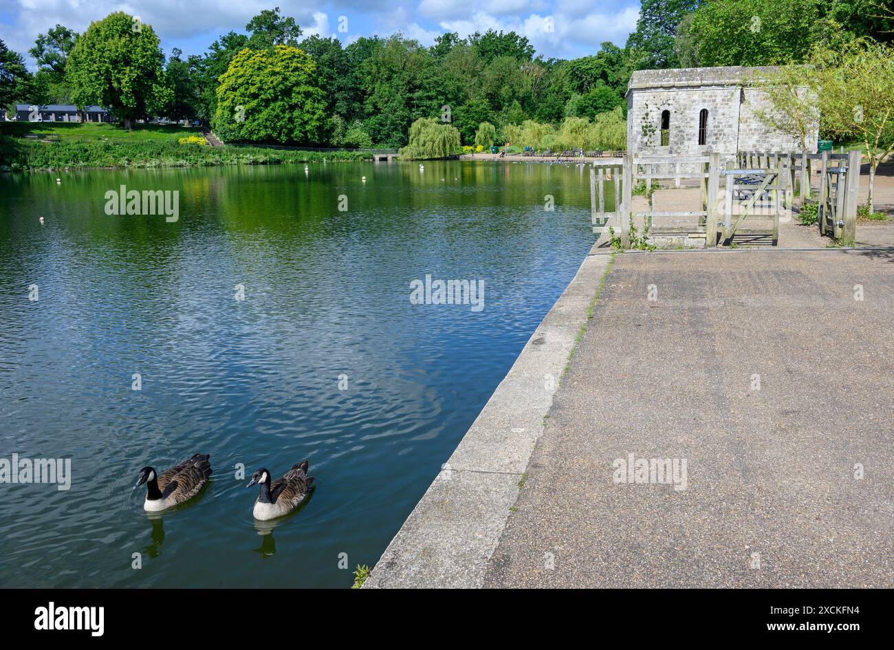 Maidstone, Kent, Großbritannien. Mote Park: Großer öffentlicher Park in der Nähe des Stadtzentrums. Der Model Boat Quay auf dem Fluss Len Stockfoto
