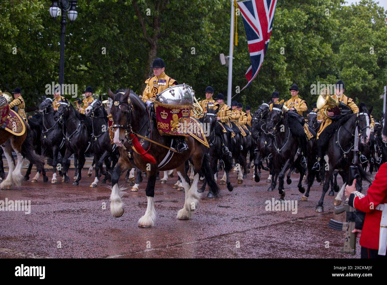 Drum Horse of Blues und Royals Trooping the Colour Color The Mall London 2024 Stockfoto