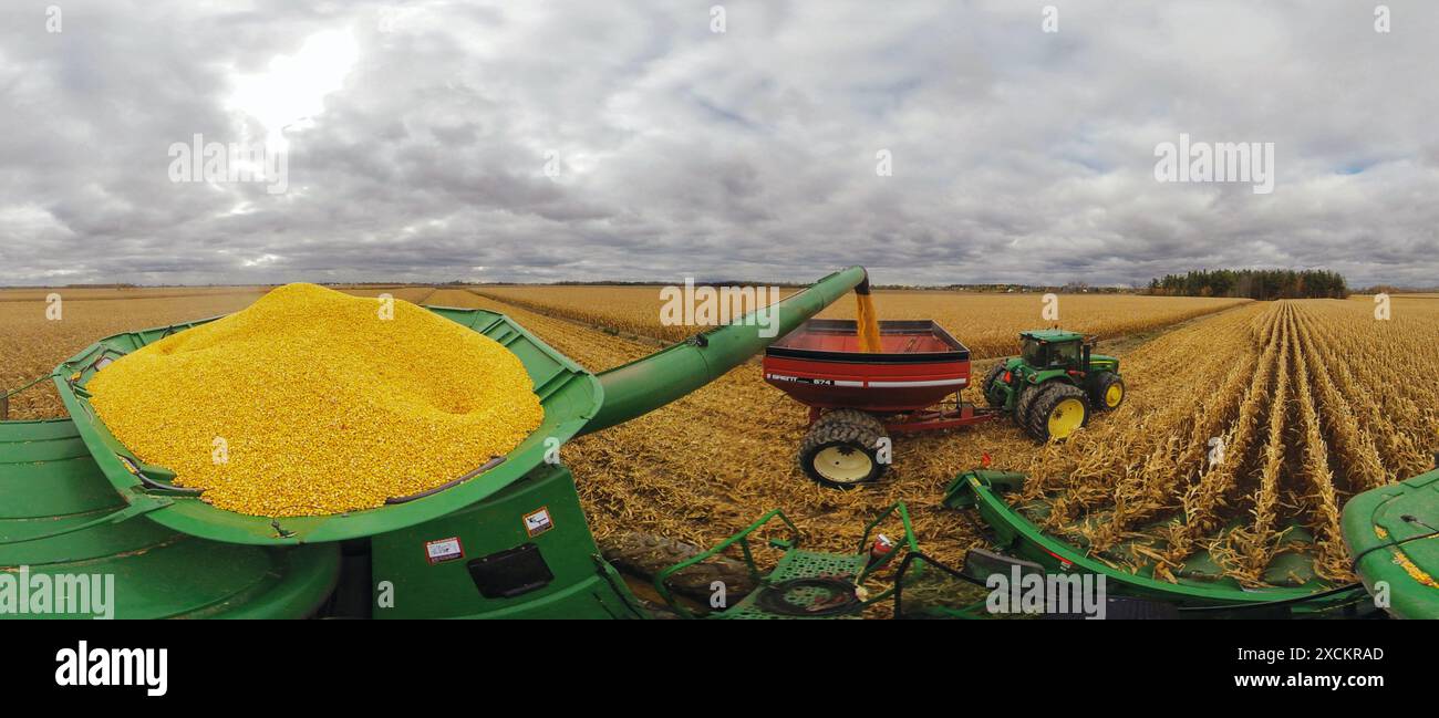 Bewölkter Himmel über Mähdrescher und Traktor, der Erntegut erntet Stockfoto