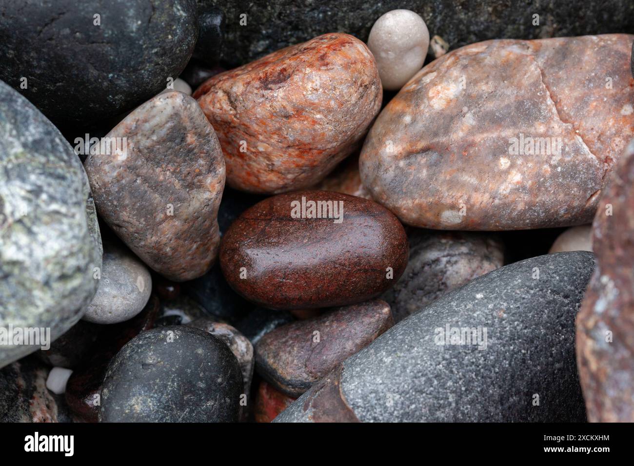 Serpentine Rocks in Poltesco, The Lizard, Cornwall, Großbritannien Stockfoto