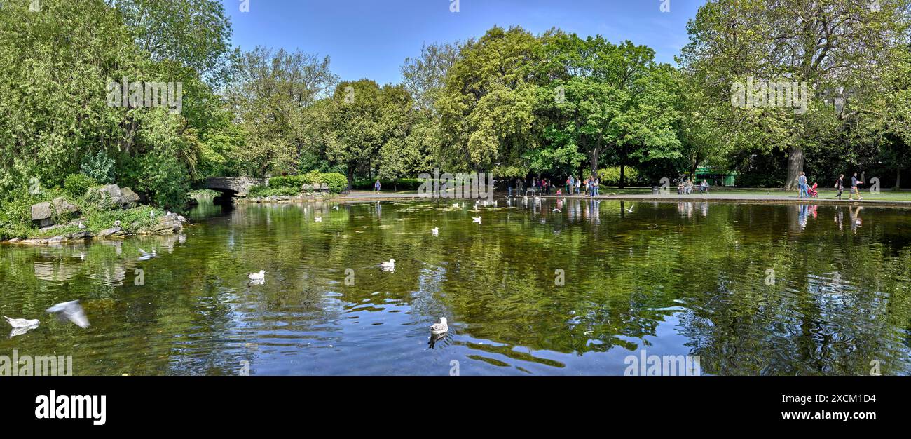 Enten schwimmen im See im St Stephens Green Park, Dublin, Leinster, Irland Stockfoto