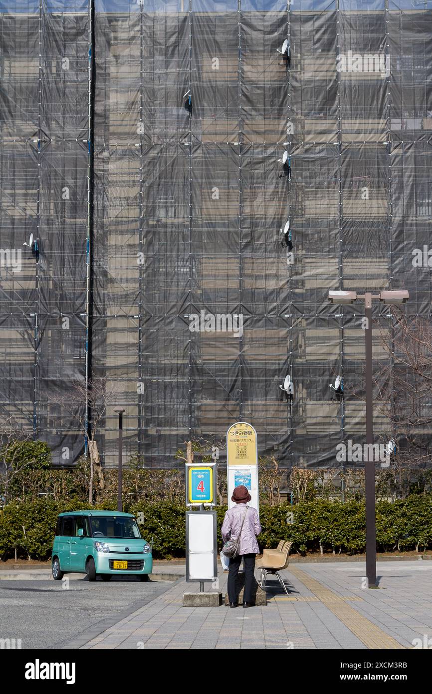 Eine ältere Japanerin überprüft den Fahrplan an einer Bushaltestelle in Tsukimino, hinter der ein Appartementgebäude repariert wird. Kanagawa. Japan. Stockfoto