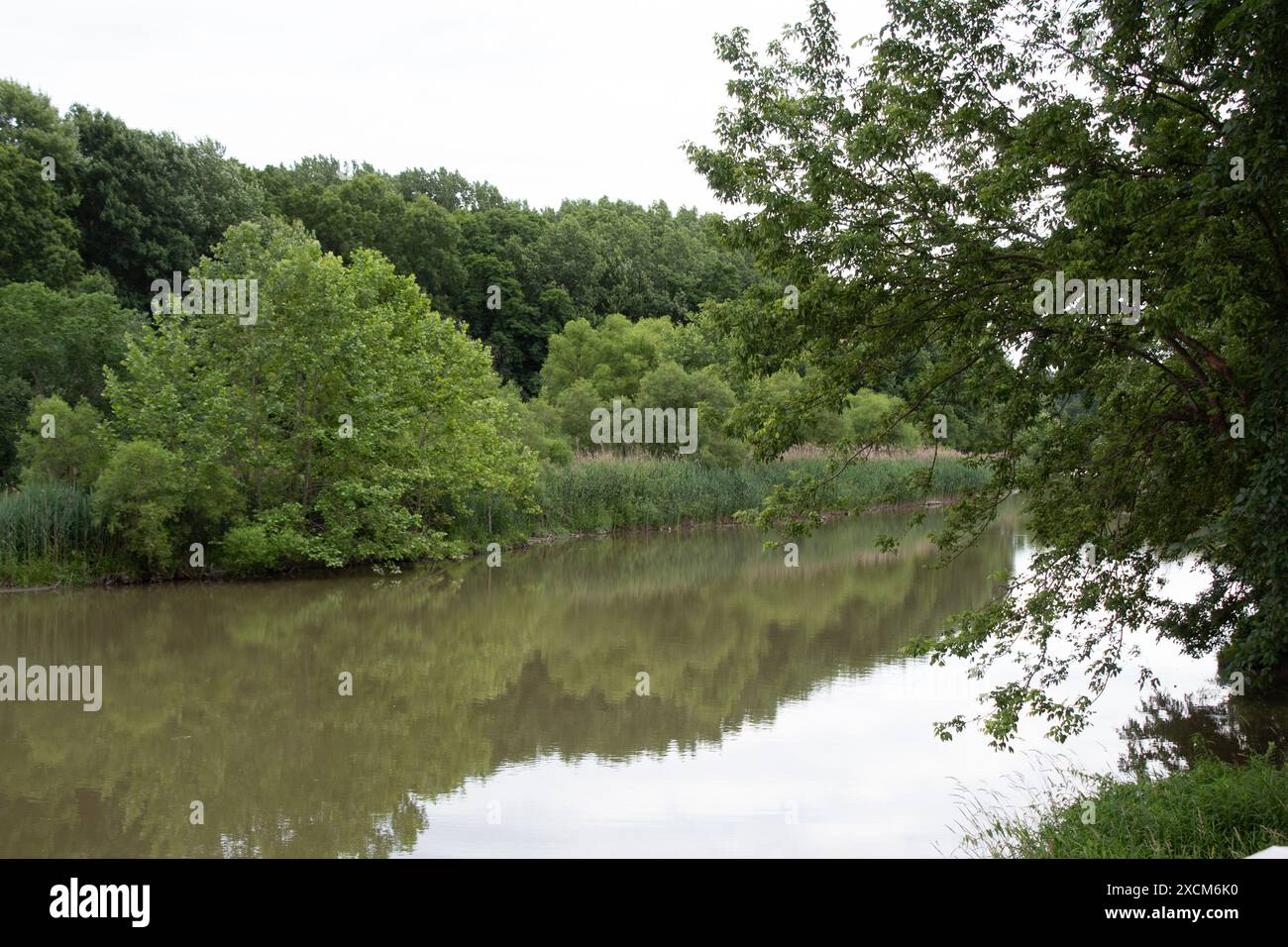 Spring by the Stream Stockfoto