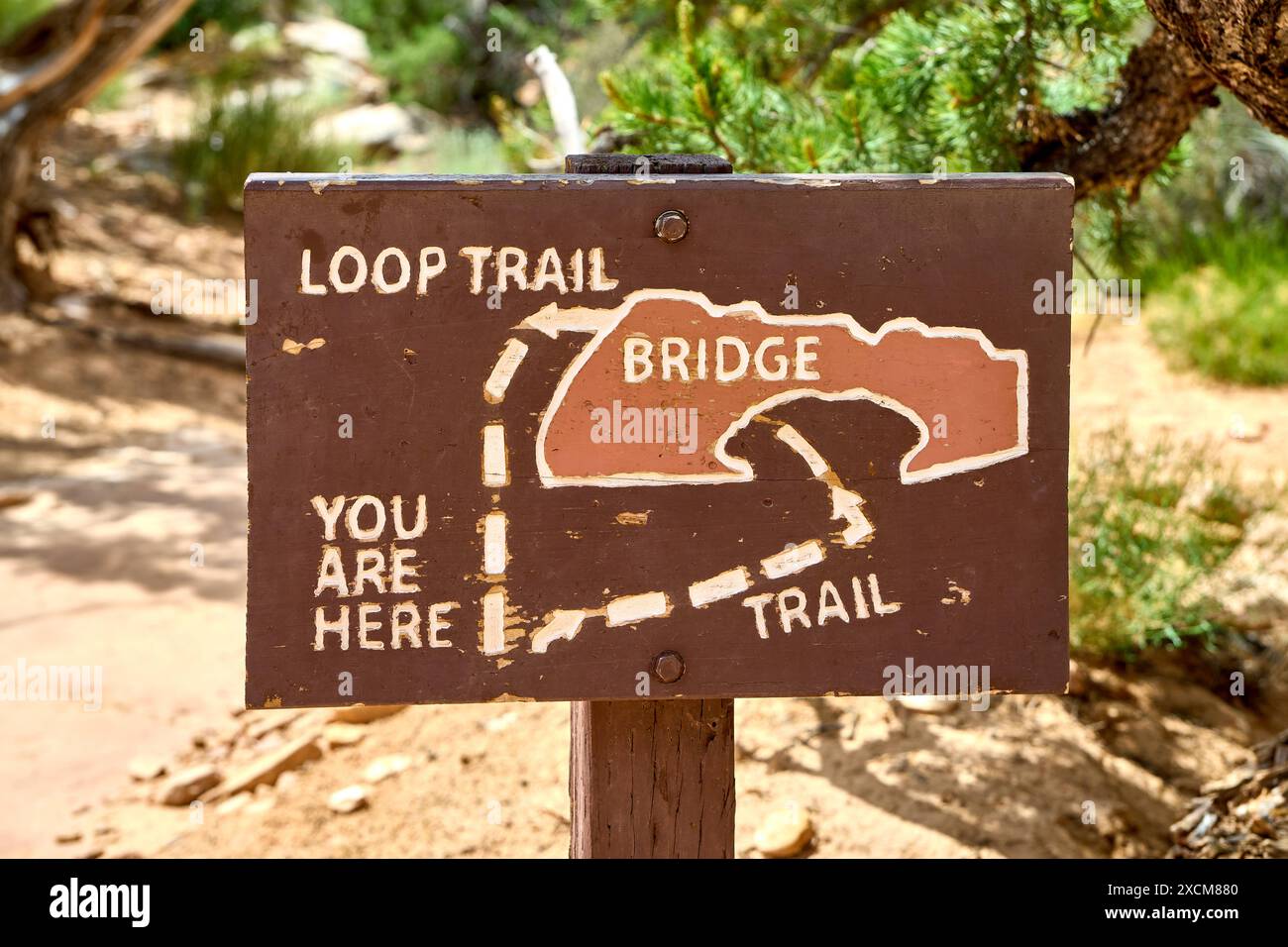 Utah, Vereinigte Staaten von Amerika - 8. Juni 2024: Schild im Capitol Reef National Park in Utah zeigt die Wanderwege zur Hickman Bridge. Rundweg *** Schild im Capitol Reef Nationalpark in Utah zeigt die Wanderwege zur Hickman Bridge. Rundweg Stockfoto