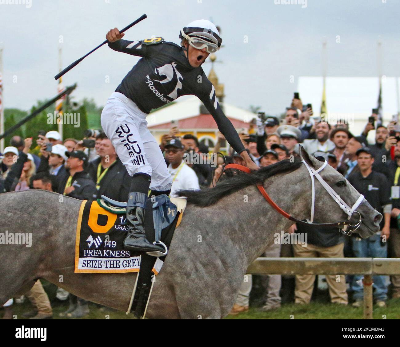 18. Mai 2024 Rennen 13 PREAKNESS STAKES Seize the Grey, gr/RO, 3/c Arrogate — Smart Shopping, by Smart Strike Eigentümer: MyRacehorse Züchter: Jamm, Ltd Stockfoto