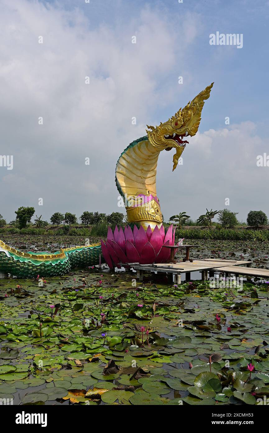 Nahaufnahme einer riesigen Naga-Skulptur, die aus einem Lotus aus einem Feuchtteich ragt, umgeben von Fliederlililipaden, Thailand Stockfoto