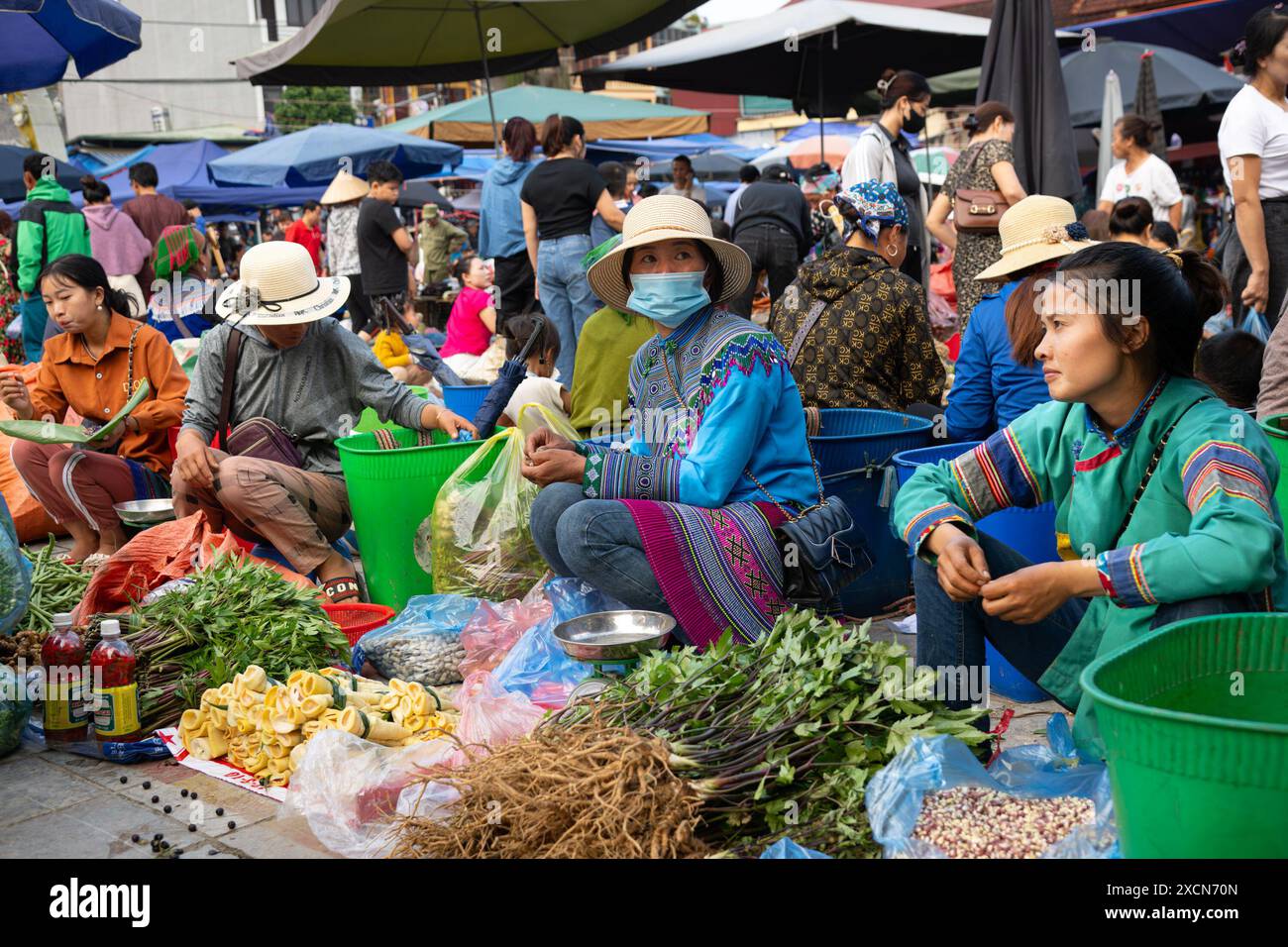 Hmong-Frauen verkaufen Gemüse auf dem Bac Ha Markt, Lao Cai Provinz, Vietnam Stockfoto