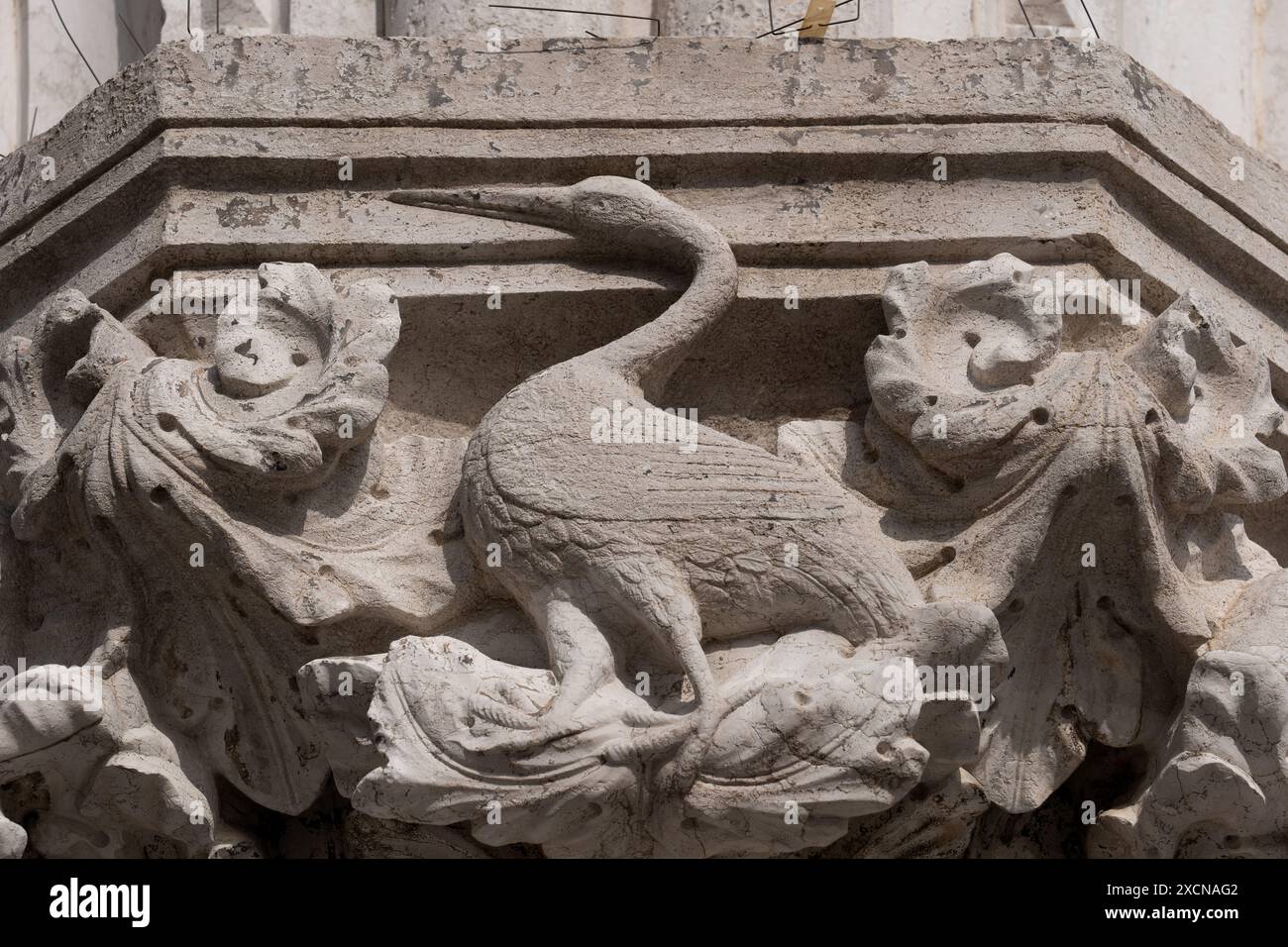 Vogelreliefs auf der Säulenkolonnade des Dogenpalastes in Venedig, Italien. Stockfoto