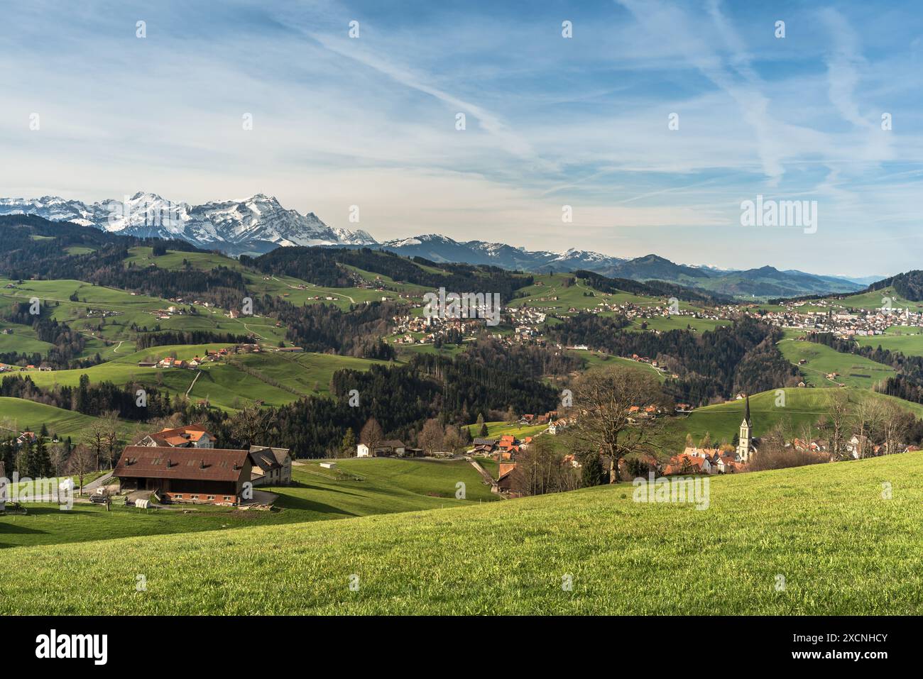 Blick auf die Alpsteinberge mit Saentis, Rehetobel, Kanton Appenzell Ausserrhoden, Schweiz Stockfoto