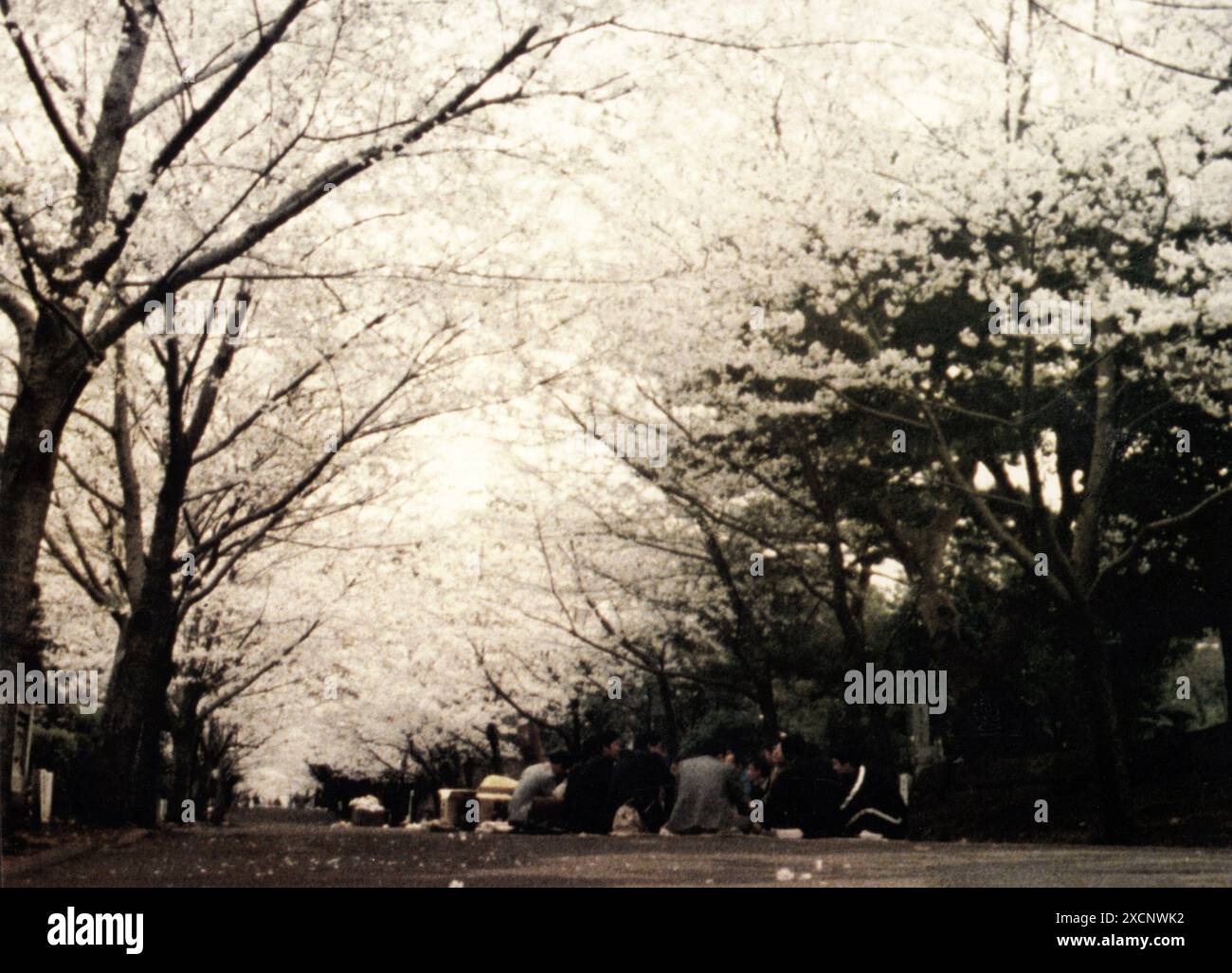 Tokio-GA Jahr : 1985 Westdeutschland / USA Regie: Wim Wenders Dokumentarfilm Stockfoto