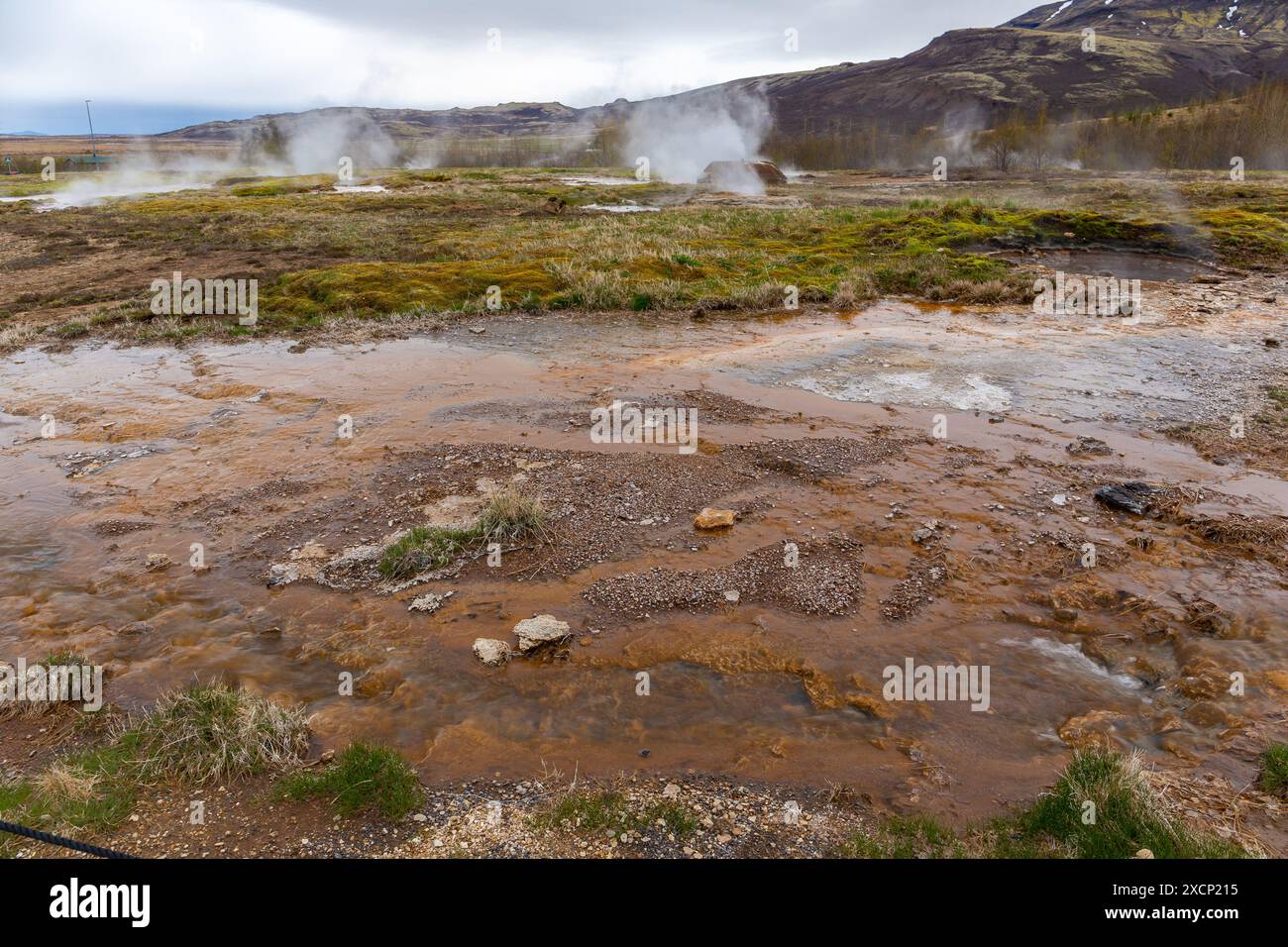 Geysir Geothermiegebiet im Haukadular Valley, Island, mit dampfenden heißen Quellen, heißen Wasserbächen und braunem schwefelhaltigem Wasser, keine Menschen. Stockfoto
