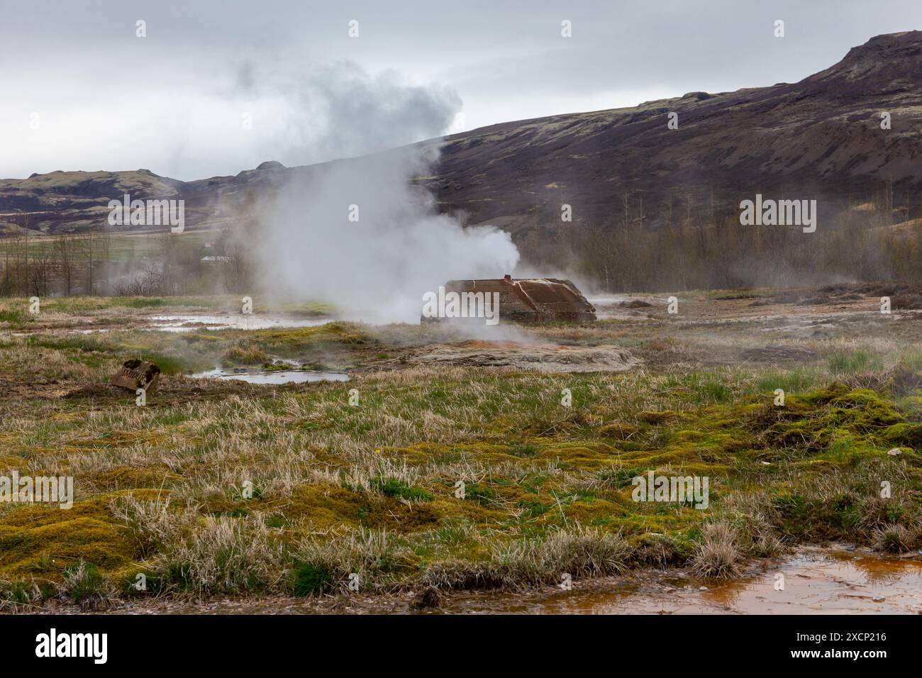 Geysir Geothermallandschaft im Haukadular-Tal, Island, mit dampfenden heißen Quellen, heißen Wasserbächen und Bergen im Hintergrund, keine Menschen Stockfoto
