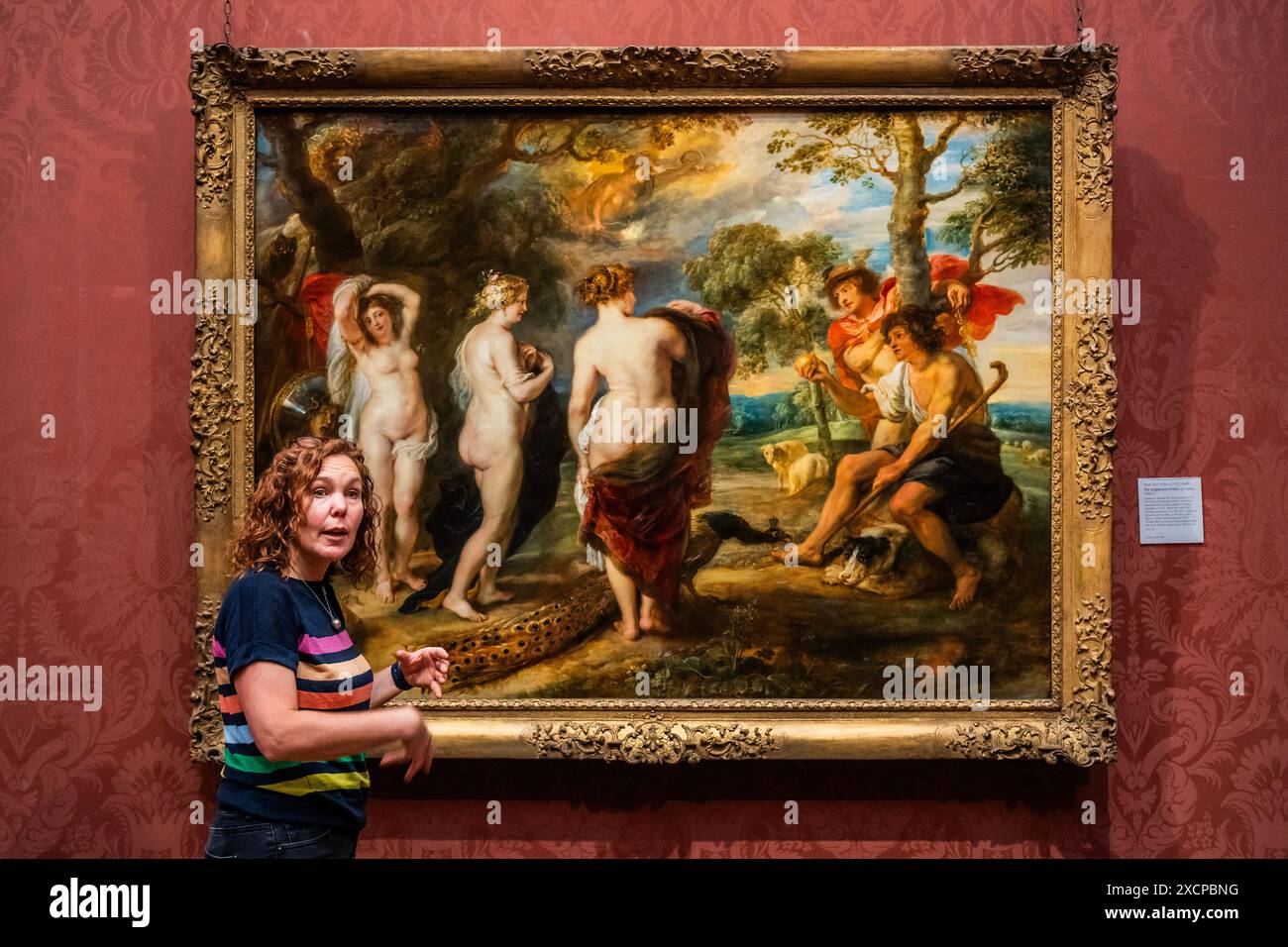 London, Großbritannien. Juni 2024. Die Konservatorin Britta New erklärt ihre einjährige Konservierungsarbeit – das Urteil von Paris (wahrscheinlich 1632–5) von Peter Paul Rubens kehrt zur öffentlichen Ausstellung in der Nationalgalerie zurück. Nach einer 14-monatigen Restaurierung, die im Conservation Department der Galerie durchgeführt und vom Bank of America Art Conservation Project unterstützt wurde. Guy Bell/Alamy Live News Stockfoto