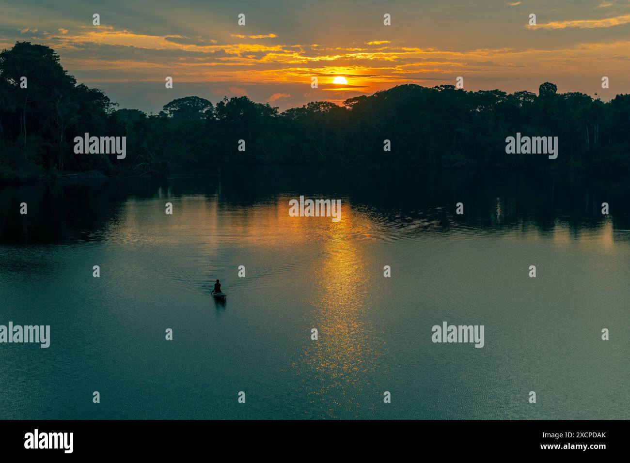 Silhouette eines Mannes, der bei Sonnenaufgang im Amazonas-Regenwald mit einem Kanu paddelt, Yasuni-Nationalpark, Ecuador. Stockfoto