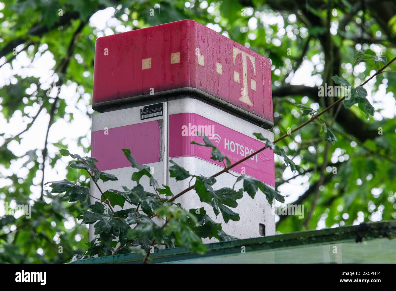 Neuss 18.06.2024 Telefon Analog Analogtelefon Kabeltelefon Telefonhörer Telefonzelle Tastentelefon Retro Deutsche Telekom Magenta Münzfernsprecher Fernsprecher Münzschlitz Münzeinwurf Geldmünzen Bargeld Wlan-Hotspot Neuss Nordrhein-Westfalen Deutschland *** Neuss 18 06 2024 Telefon Analog Analog Telefon Kabeltelefon Telefonempfänger Telefonbox Tastatur Telefon Telefon Retro Deutsche Telekom Magenta Münzautomat Münzautomat Münzautomat Cash WLAN Hotspot Neuss Nordrhein-Westfalen Deutschland Stockfoto Neuss 18.06.2024 Telefon Analog Analogtelefon Kabeltelefon Telefonhörer Telefonzelle Tastentelefon Retro Deutsche Telekom Magenta Münzfernsprecher Fernsprecher Münzschlitz Münzeinwurf Geldmünzen Bargeld Wlan-Hotspot Neuss Nordrhein-Westfalen Deutschland *** Neuss 18 06 2024 Telefon Analog Analog Telefon Kabeltelefon Telefonempfänger Telefonbox Tastatur Telefon Telefon Retro Deutsche Telekom Magenta Münzautomat Münzautomat Münzautomat Cash WLAN Hotspot Neuss Nordrhein-Westfalen Deutschland Stockfoto