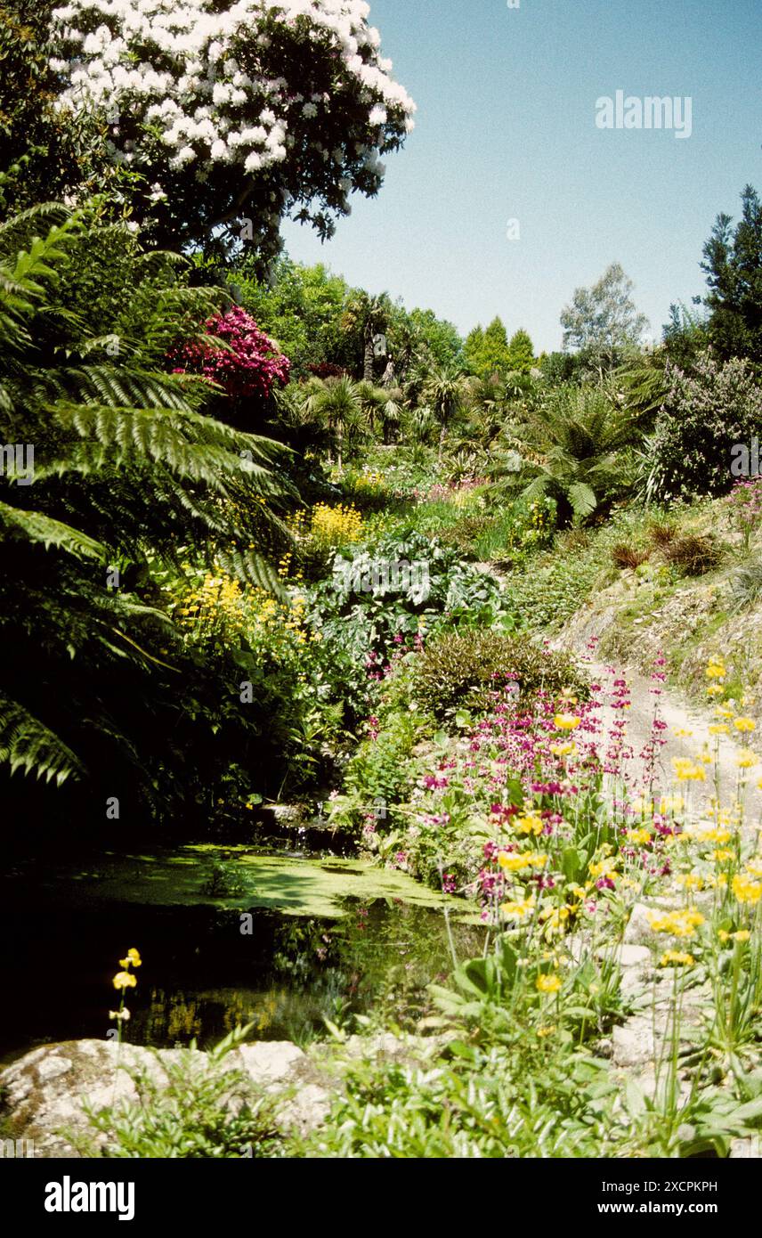 COAST TO COAST TRAVEL LIBRARY - VERWALTET VON PPL PHOTO AGENCY - COPYRIGHT VORBEHALTEN Water Garden at Trebah, Mawnan Smith, Cornwall. FOTO: David Stockfoto