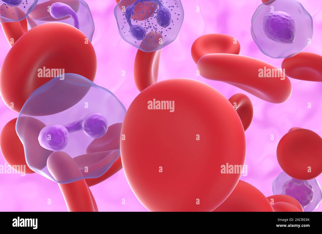 Hohe Anzahl roter Blutkörperchen bei Polycythaemia vera (PV) - Nahaufnahme 3D-Illustration Stockfoto