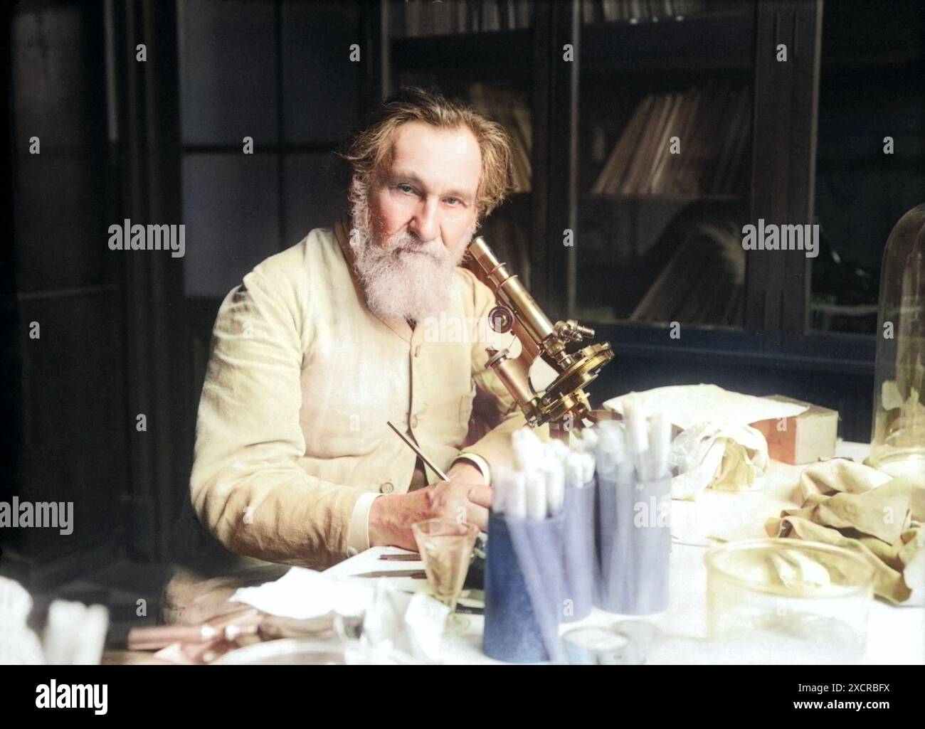 Ilja Iljitsch Mechnikow, auch bekannt als Elie Metchnikoff (1845–1916), russischer Zoologe, der für seine Pionierforschung in der Immunologie bekannt ist. Er und Paul EHR Stockfoto