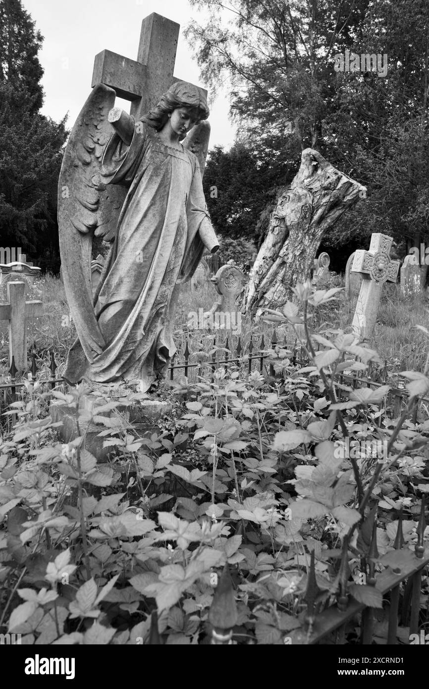 Schwarz-weißer Steinengelgrabmarker mit beschädigtem Arm auf dem Friedhof. Stockfoto