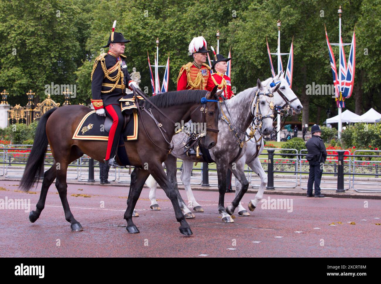 Kommandierende Offiziere, Die Die Farbfarbe Der Mall London 2024 Erobern Stockfoto