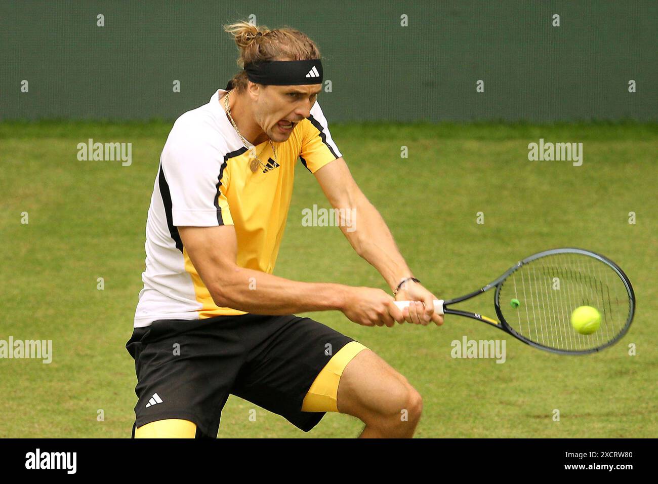 18. Juni 2024, Nordrhein-Westfalen, Halle/Westfalen: Tennis: ATP Tour Halle/Westfalen, Männer-Einzel, 1. Runde, Otte gegen Zverev (beide Deutschland), Alexander Zverev im Einsatz. Foto: Claus Bergmann/dpa Stockfoto