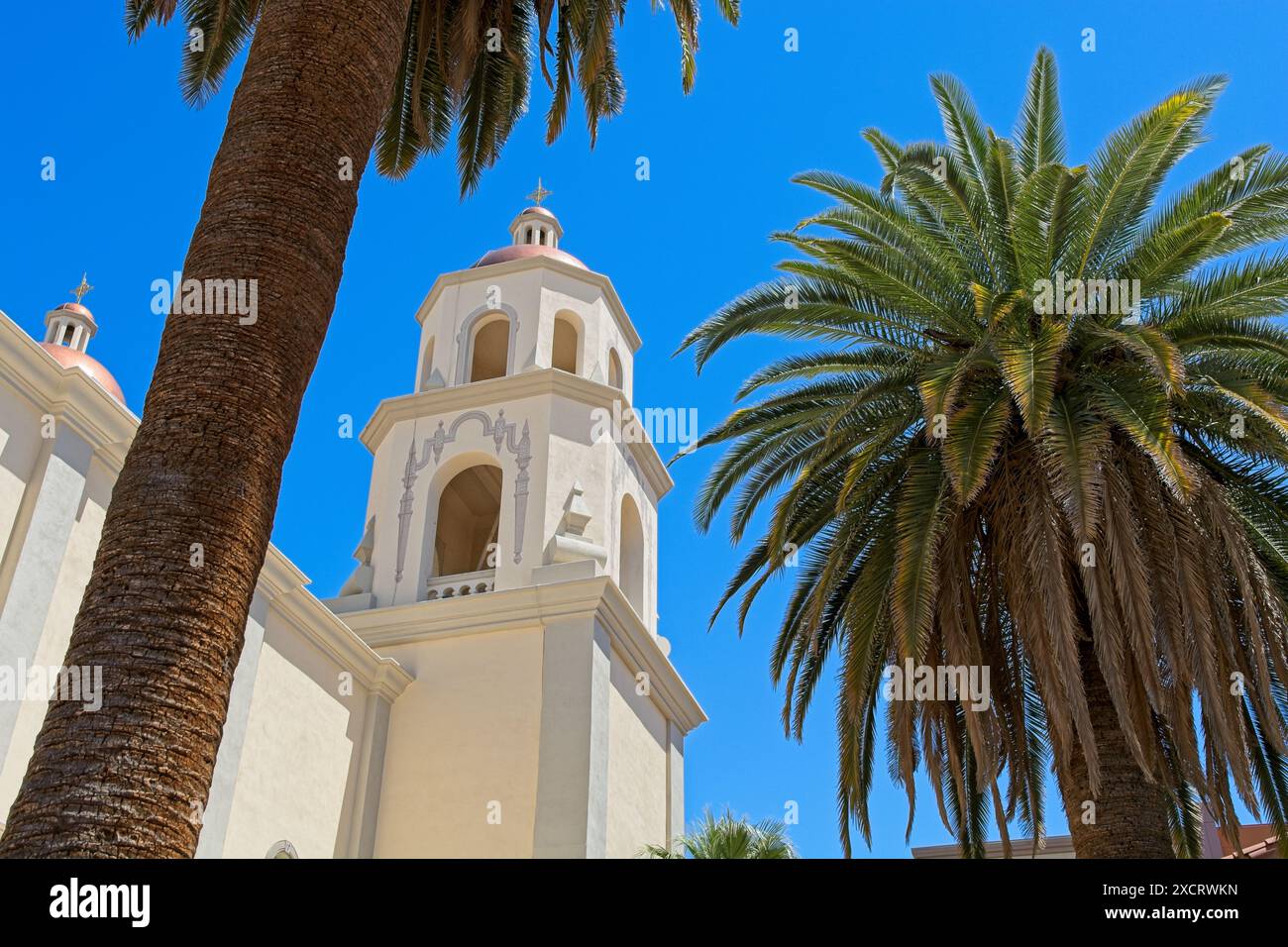 Turm im spanischen Kolonialstil der Saint Augustine Cathedral, eingerahmt von Palmen im Zentrum von Tucson – Arizona, April 2024 Stockfoto