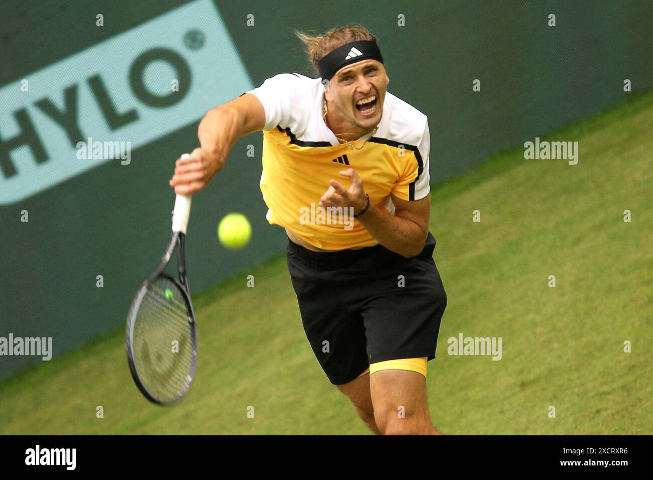 18. Juni 2024, Nordrhein-Westfalen, Halle/Westfalen: Tennis: ATP Tour Halle/Westfalen, Männer-Einzel, 1. Runde, Otte gegen Zverev (beide Deutschland), Alexander Zverev im Einsatz. Foto: Claus Bergmann/dpa Stockfoto