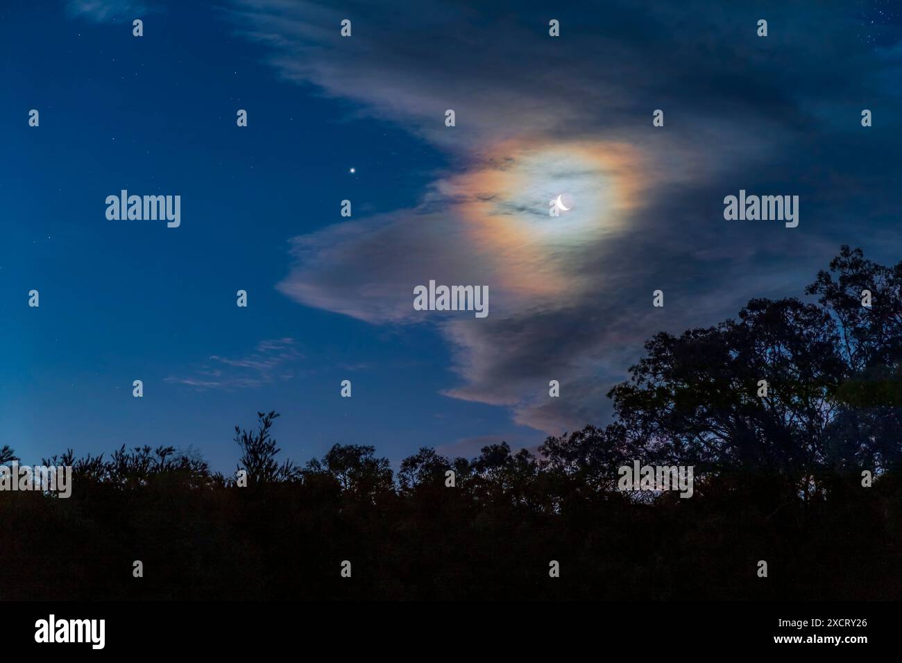 Der wachsende Halbmond bei Jupiter am Abend des 14. März 2024, der an einem austral-Herbstabend in den westlichen Dämmerhimmel einbricht. Der Mond i Stockfoto