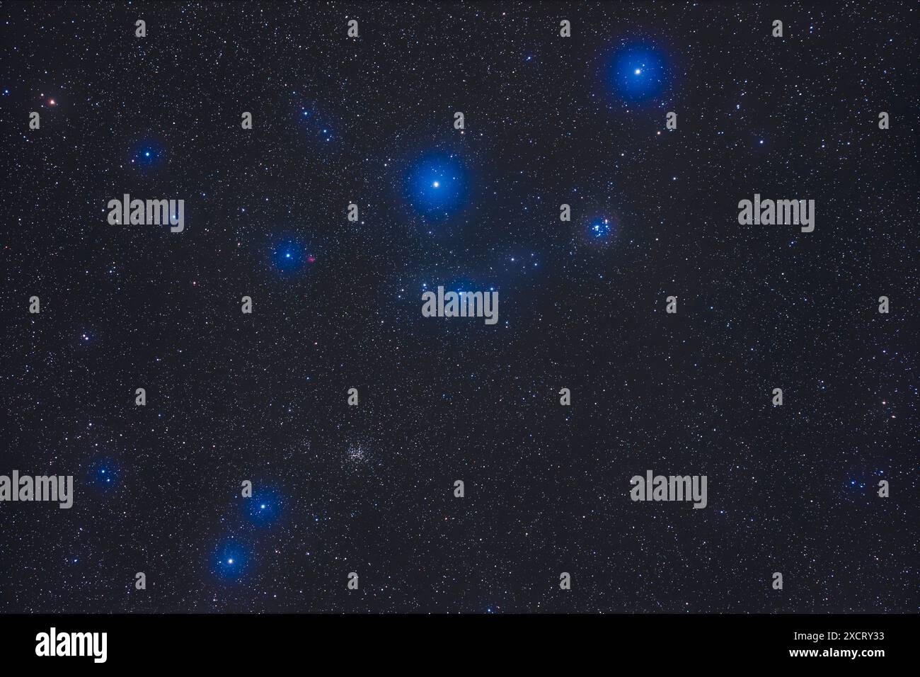 Das Paar kleiner offener Sternhaufen im nördlichen Orion: NGC 2194 unten links, ein reicher Sternhaufen, und NGC 2169 oben rechts, ein loser Sternhaufen, aber mit Stockfoto