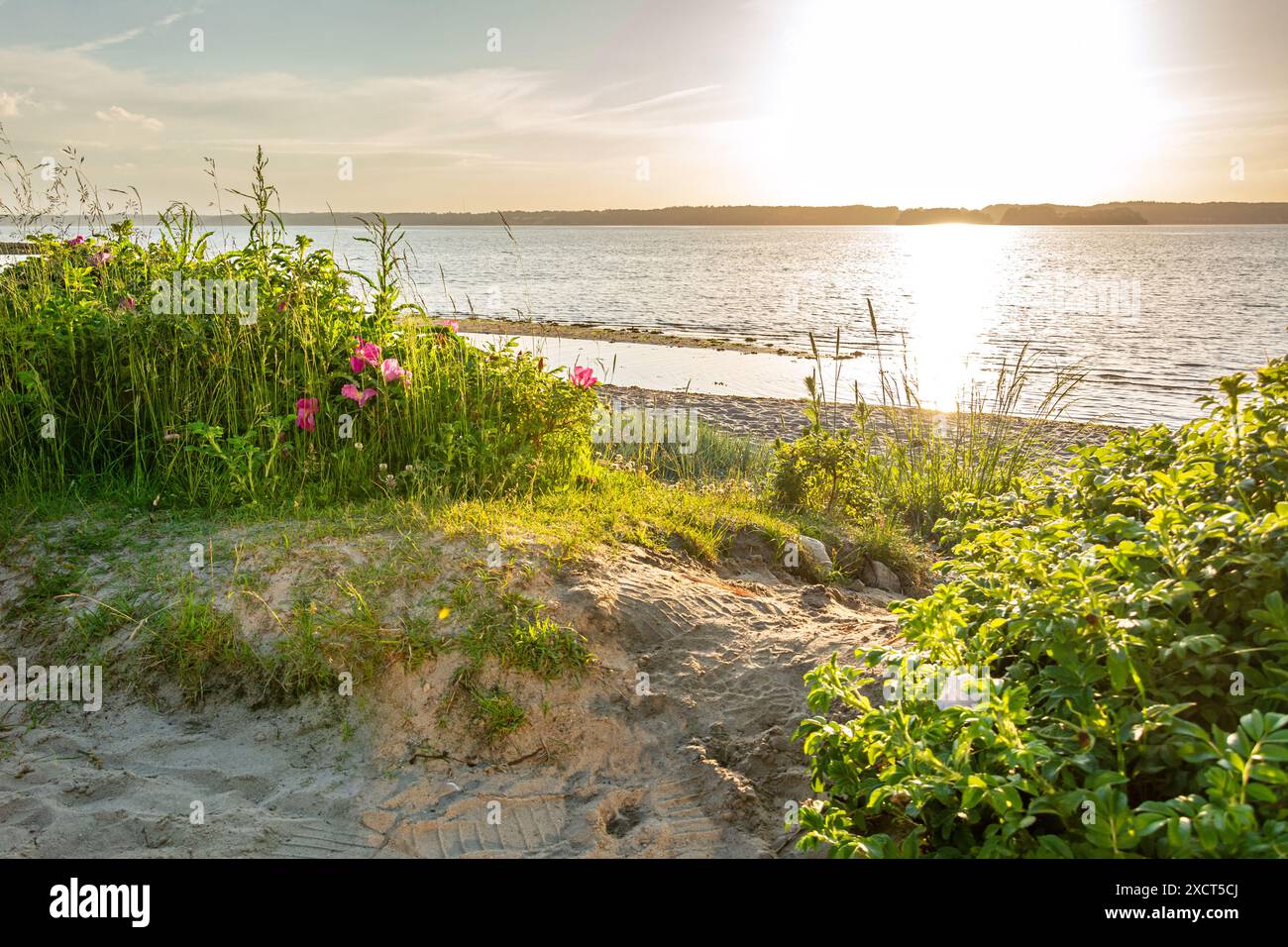 Sonnenuntergang an einem wunderschönen Strand in Glücksburg an der Flensburger Förde in Norddeutschland Stockfoto