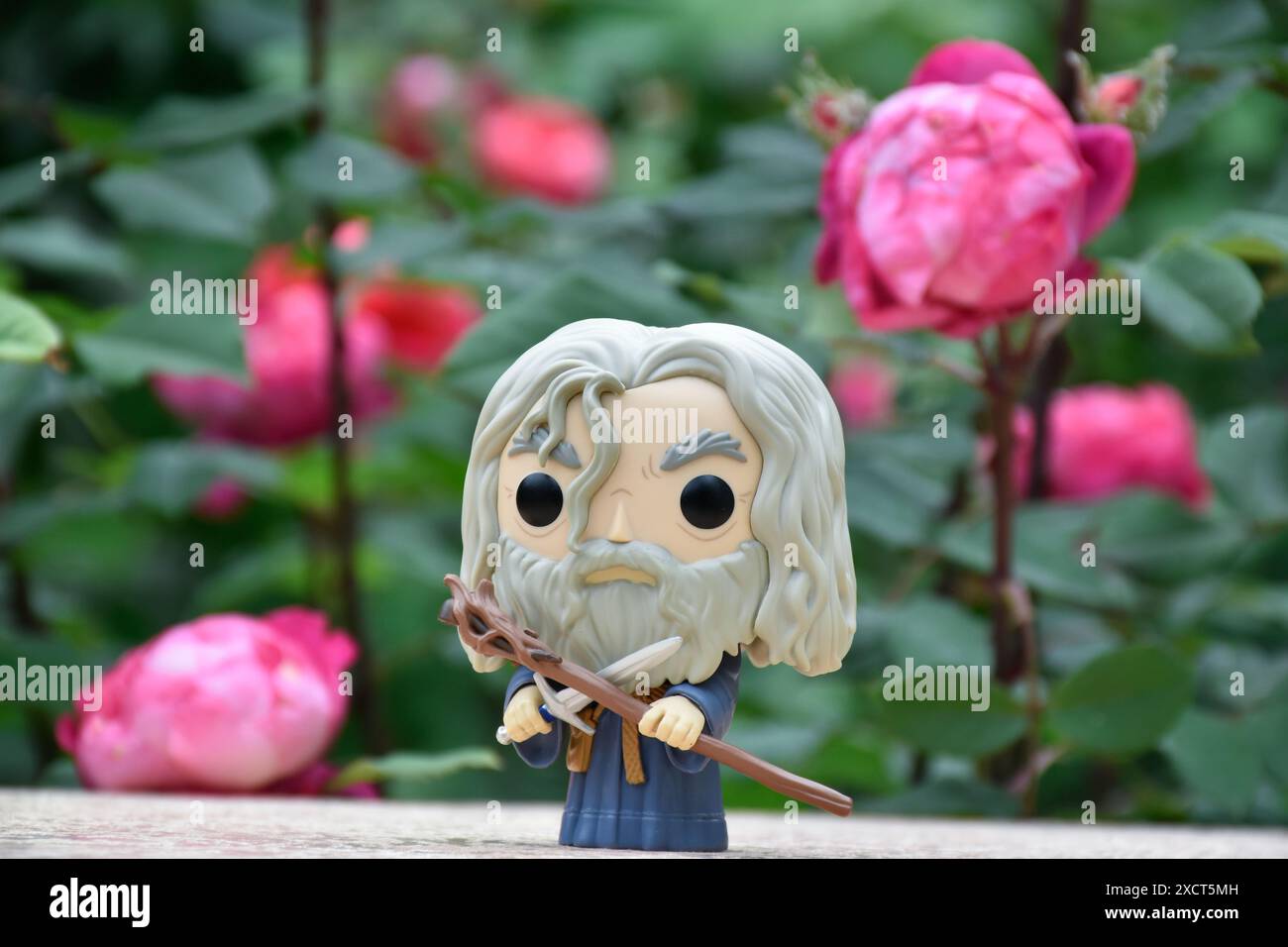 Funko Pop Actionfigur des Zauberers Gandalf the Grey mit Schwert und Stab aus dem Fantasy-Film der Herr der Ringe. Geheimnisvoller Garten, rote Rosen. Stockfoto