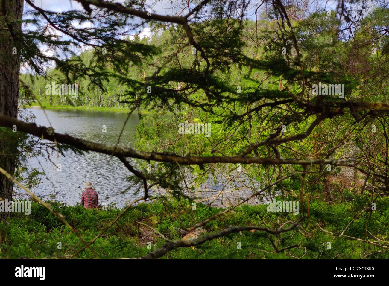 Typisch finnischer Nationalpark mit Seen, Wald und blauem bewölktem Himmel. Wilde Natur in der Sommersaison Stockfoto