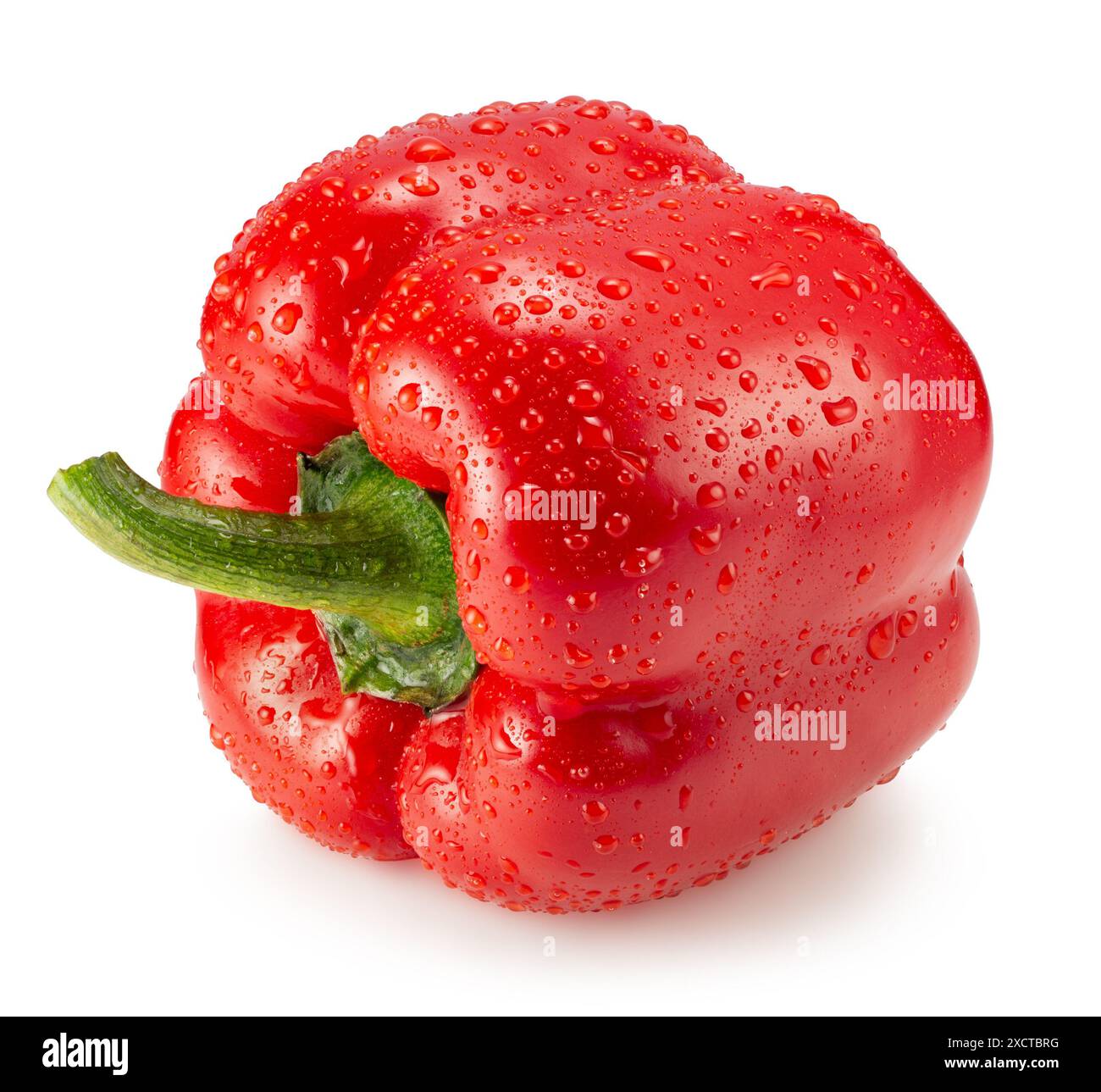 Rote Paprika mit Wassertropfen auf weißem Hintergrund. Beschneidungspfad. Stockfoto