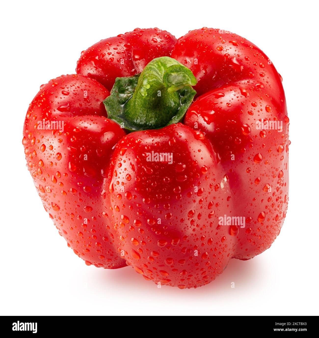 Rote Paprika mit Wassertropfen auf weißem Hintergrund. Beschneidungspfad. Stockfoto