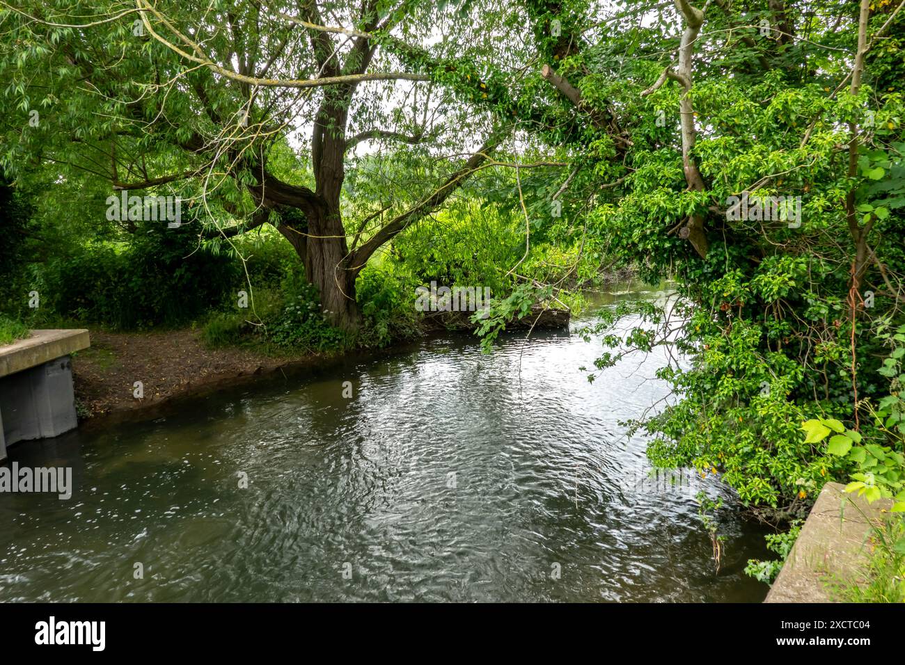 Der Fluss Cam auf der Straße zwischen Hinxton und Duxford von der Brücke über die Ford Stockfoto