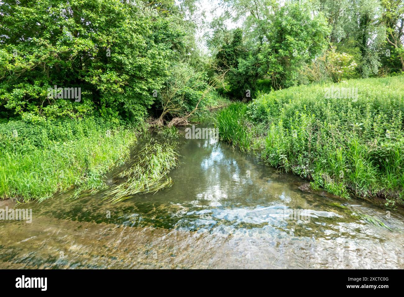 Der Fluss Cam auf der Straße zwischen Hinxton und Duxford von der Brücke über die Ford Stockfoto
